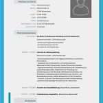 Vorlage Bewerbung Vertrieb Wunderbar Beispiele Lebenslauf