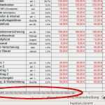 Vorlage Bilanz Excel Kostenlos Schön Spartipp Haushaltsbuch Haushaltsbuch