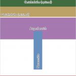 Vorlage Biometrisches Passbild Photoshop Best Of so Erstellst Du Dein Eigenes Passbild