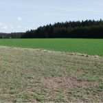 Vorlage Brandschutzkonzept Fabelhaft Im Bereich "am Schwarzenbach" soll Ein Energiewald