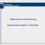 Vorlage Brandschutzkonzept Schönste 57 Angenehm Brandschutzkonzept Vorlage Modelle