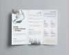 Vorlage Broschüre Word Erstaunlich Fragebogen Vorlage Word Bi Fold Brochure Paper New