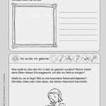 Vorlage Buchvorstellung Cool Portfolio Schule Vorlage Schön Sachunterricht