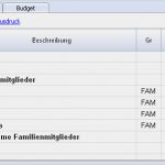Vorlage Budget Cool Familie Mit Bud Mit Finanzplanung Mit Einnahmen