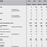 Vorlage Businessplan Download Wunderbar Businessplan Ernährungsberatung Muster Vorlage Zum Download