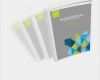 Vorlage Businessplan Word Angenehm Businessplan Erstellen Vorlage Deckblatt Businessplan