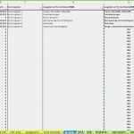 Vorlage Bwa Cool Bwa Vorlage Excel Inspirierend Liquiditätsplanung Beispiel