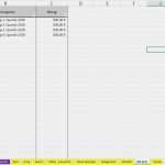 Vorlage Bwa Gut Bwa Vorlage Excel Inspirierend Liquiditätsplanung Beispiel