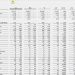 Vorlage Bwa Schönste Bwa E Merce Line Handel Excel Vorlage