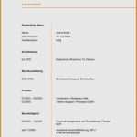 Vorlage Cars Beste 14 Lebenslauf Vorlage Pdf