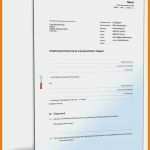 Vorlage Cars Schönste 15 Vorlage Auftragserteilung