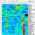 Vorlage Cd Cover Erstaunlich Cd Cover Vorlage Schön 65 top Dvd Sleeve Template