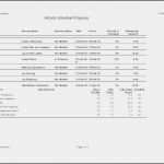 Vorlage Cd Cover Luxus Cd Cover Word Vorlage Cd Booklet Template Free Lovely Cd