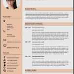 Vorlage Cv Word Angenehm Cv Vorlage Word Angenehm Llll Lebenslauf Muster Und
