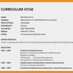 Vorlage Cv Word Neu 11 Curriculum Vitae Vorlage Word