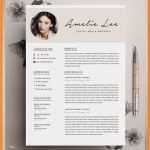 Vorlage Cv Word Wunderbar 11 Curriculum Vitae Vorlage Word