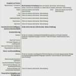 Vorlage Cv Word Wunderbar Cv Vorlage Word Schönste Europass Lebenslauf Vorlage Word