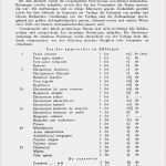 Vorlage Darlehensvertrag Word Bewundernswert Vorlage Privater Darlehensvertrag Word I I I I I I I I I I