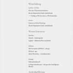 Vorlage Datenschutzerklärung Homepage Best Of Lebenslauf Muster Für Analyst