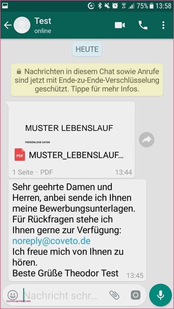 Vorlage Datenschutzerklärung Homepage Erstaunlich Biografie Vorlage Altenheim Anbei Sende Ich Ihnen Meinen