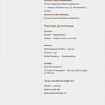 Vorlage Datenschutzerklärung Homepage Fabelhaft Lebenslauf Muster Für Kaufmann