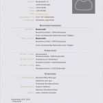 Vorlage Datenschutzerklärung Homepage Neu Alicia