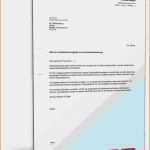 Vorlage Datenschutzerklärung Website Schönste Muster Vorlage Um Als Student Ein Empfehlungsschreiben