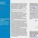 Vorlage Dokumentation soziale Arbeit Gut Führungsaufsicht 2013