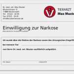 Vorlage Dsgvo Einwilligung Erstaunlich Startseite Tierarzt Muster
