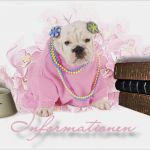 Vorlage Ebay Auktion Einzigartig Ebay Vorlage