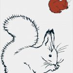 Vorlage Eichhörnchen Bewundernswert Tiere Vorlagen 3