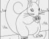 Vorlage Eichhörnchen Erstaunlich Eichhörnchen Kostenlose Malvorlagen Und Windowcolor