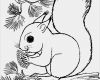 Vorlage Eichhörnchen Fabelhaft Seite 3