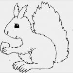 Vorlage Eichhörnchen Neu Eichhörnchen Fensterbild Liebt Kinder