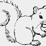 Vorlage Eichhörnchen Schönste Fensterbilder Für Den Herbst Basteln 25 Ideen Und Vorlagen