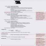 Vorlage Einer Bewerbung Elegant 40 Einzigartig Vorlage Einer Bewerbung Yayaconnection