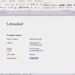 Vorlage Einfacher Lebenslauf Einzigartig Einfacher Tabellarischer Lebenslauf In Word