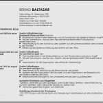 Vorlage Einfacher Lebenslauf Fabelhaft [einfacher Tabellarischer Lebenslauf] 100 Images 15