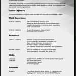 Vorlage Einfacher Lebenslauf Gut 15 Vorlagen Lebenslauf Vorlage Qualifikationen Für Jeden