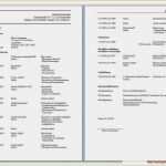 Vorlage Einfacher Lebenslauf Schön Lebenslauf Nach Din 7 Lebenslauf Din 5008 Lebenslauf