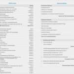 Vorlage Einkommenssteuer Erstaunlich Numbers Vorlage Einnahmen Überschuss Rechnung 2013 Mit Ust