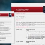 Vorlage Einkommensteuererklärung 2017 Inspiration Lebenslauf 2017 Vorlage Meinebewerbung