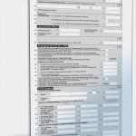 Vorlage Einkommensteuererklärung 2017 Wunderbar Einkommensteuererklärung Beschränkt Steuerpflichtige 2017