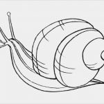 Vorlage Einkommensteuererklärung Angenehm Search Results for “vorlagen Zum Ausdrucken” – Calendar 2015