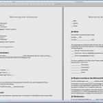 Vorlage Einkommensteuererklärung Hübsch Einkommensteuererklärung Vorlage Großartig Mietvertrag