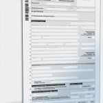 Vorlage Einkommensteuererklärung Inspiration Vereinfachte Einkommensteuererklärung 2009