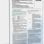 Vorlage Einkommensteuererklärung Luxus Anleitung Einkommensteuererklärung Für Beschränkt