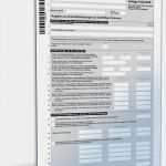 Vorlage Einkommensteuererklärung Wunderbar Steuer 2013 Steuerformulare Dokumente &amp; Vorlagen