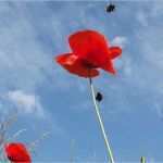 Vorlage Einladung Geschäftseröffnung Erstaunlich Geburtstag Hochzeit Lustige Texte Gedichte Verse