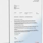 Vorlage Einspruch Einzigartig Einspruch Gegen Umsatzsteuerschätzung